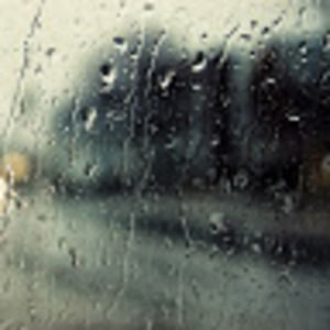 Meet your Posher, Sylvia